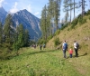 Familienwanderung Bärenalm 2016